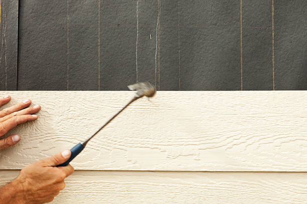 Best Stucco Siding  in Bean Station, TN